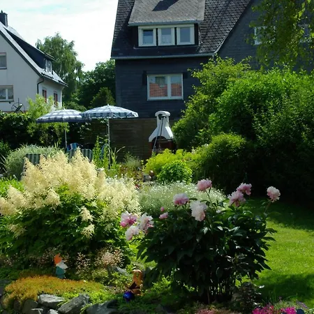 Haus Elsholz Usseln Birke