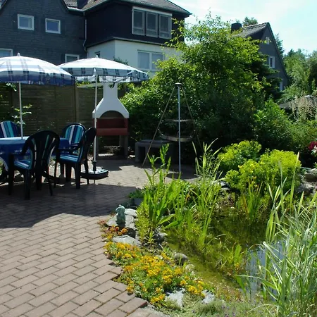 Haus Elsholz Usseln Birke * 维林根