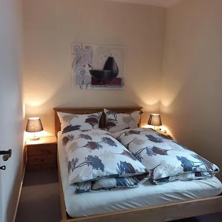 Haus Elsholz Usseln Birke Willingen (Upland)