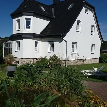 Haus Elsholz Usseln Birke Apartment