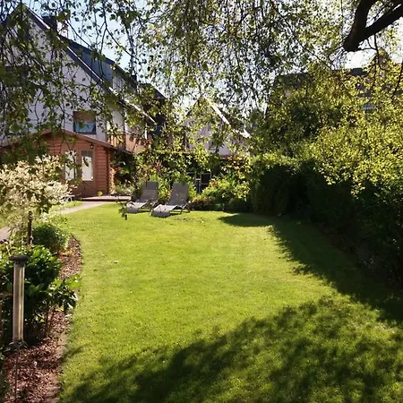 Apartment Haus Elsholz Usseln Birke *