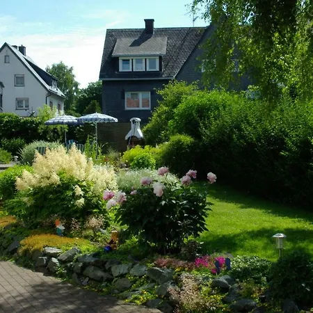 Haus Elsholz Usseln Birke Willingen (Upland)