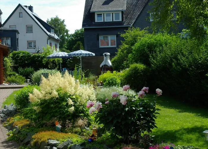 Haus Elsholz Usseln Birke