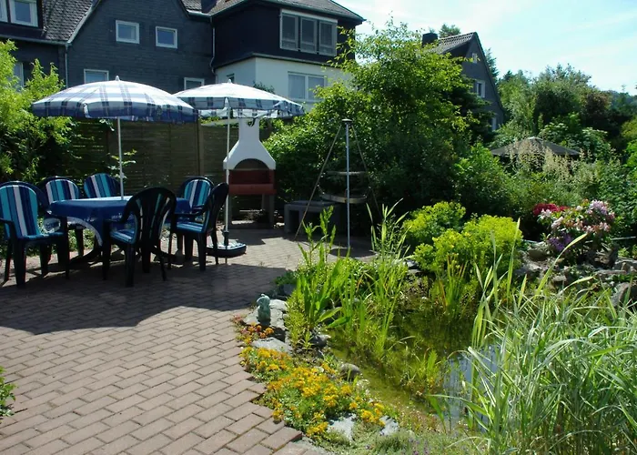 Haus Elsholz Usseln Birke * Willingen (Upland)