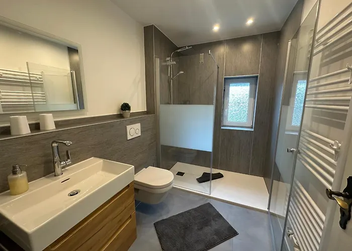 Appartement Haus Elsholz Usseln Birke Willingen (Upland)