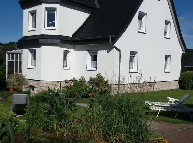 Haus Elsholz Usseln Birke Appartement