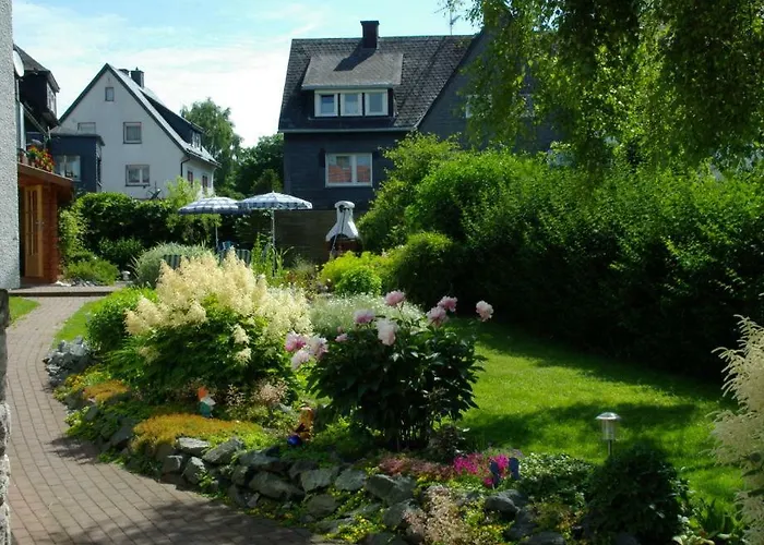 Haus Elsholz Usseln Birke Willingen (Upland)